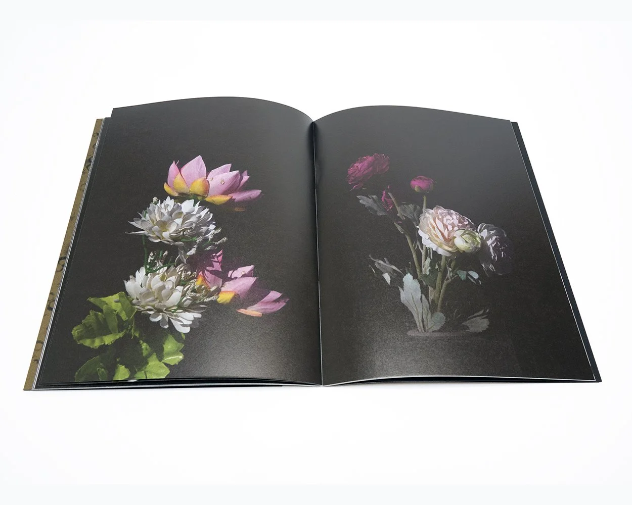 Saul Leiter: Early Color (Signed) — bookdummypress